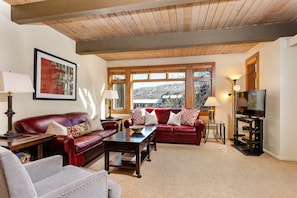 Living room with pull out sofa bed and cable TV