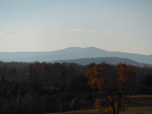 West view from back porch
