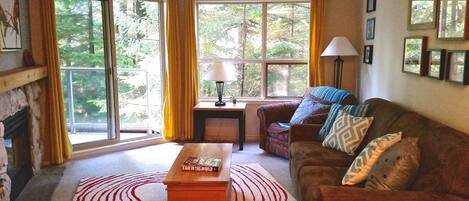 Updated, bright, and comfy living area, with beautiful view, and gas fireplace