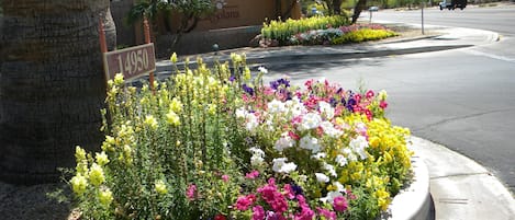 Jardines del alojamiento