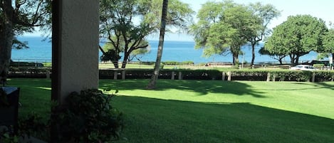 Ocean view from the lanai