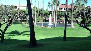 View of Lawn and fountain from lanai.