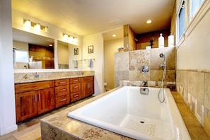 Master bathroom with 2 person soaking tub and double-head shower