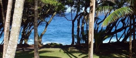 View from Front Porch. Amazing view of the ocean. No other rentals compare.