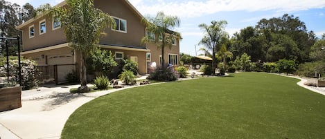 Backyard: 1500 sq. feet of artificial lawn and 1000 of cement patio