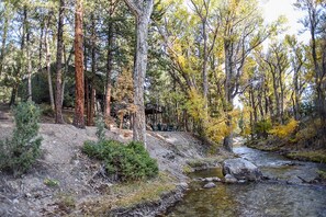 Ponderosa on Chalk Creek