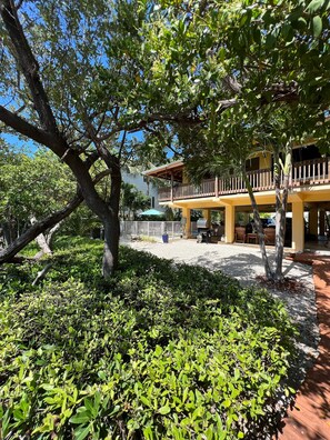 MANGROVES AND BUTTONWOODS EMBRACE OUR SHORELINE