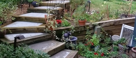 Back yard steps, garden and fountain. May through Nov. Snow covered in Winter.