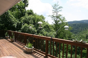 Main deck - bird watching is always fun!