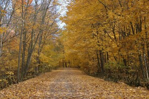 Go for a walk on the 1/2 mile private road, it's so peaceful.