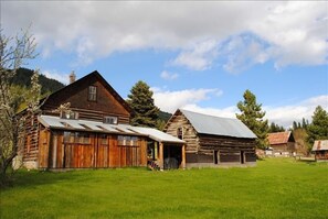 back yard