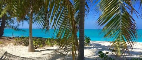 The hammock area