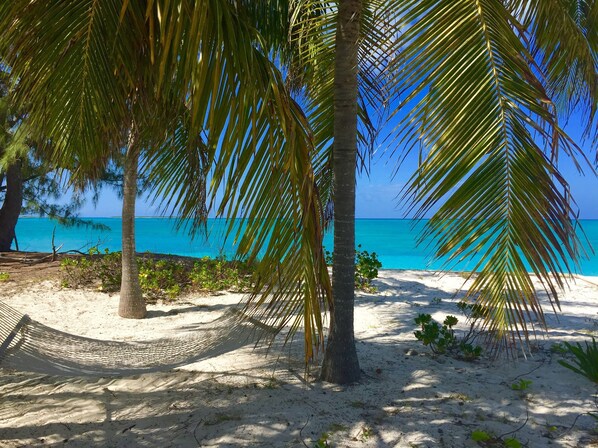 The hammock area
