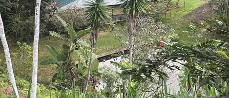 View of villa and pond from the road.