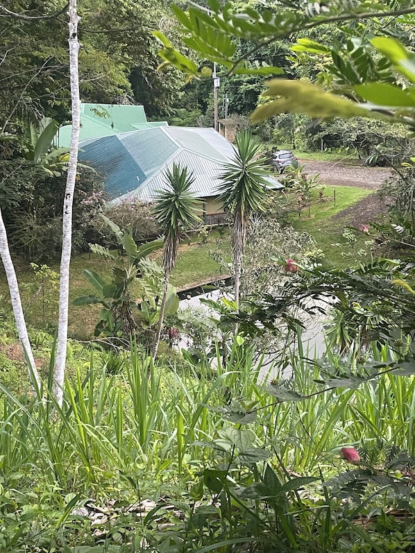 View of villa and pond from the road.