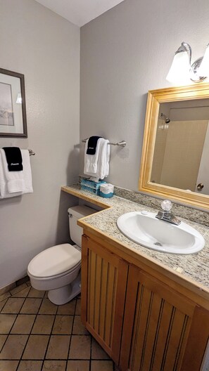Master bathroom vanity & toilet