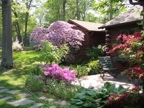 Spring at the cabin