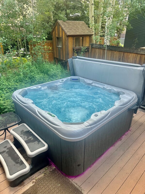 Professionally maintained new Jacuzzi
