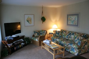 Living Room: 47-inch LED TV. Sleeper sofa.