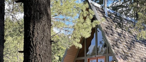 The Nordic Pine Cabin.