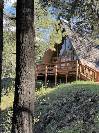 The Nordic Pine Cabin.