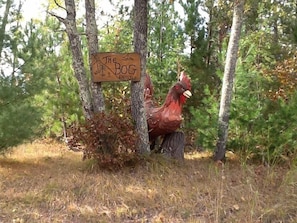 Large red rooster at the edge of the driveway