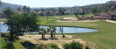 Golf course view from terrace (West side-zoomed).