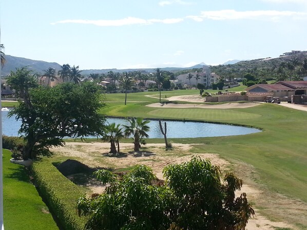 Golf course view from terrace (West side-zoomed).