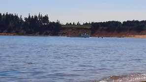 Ranta