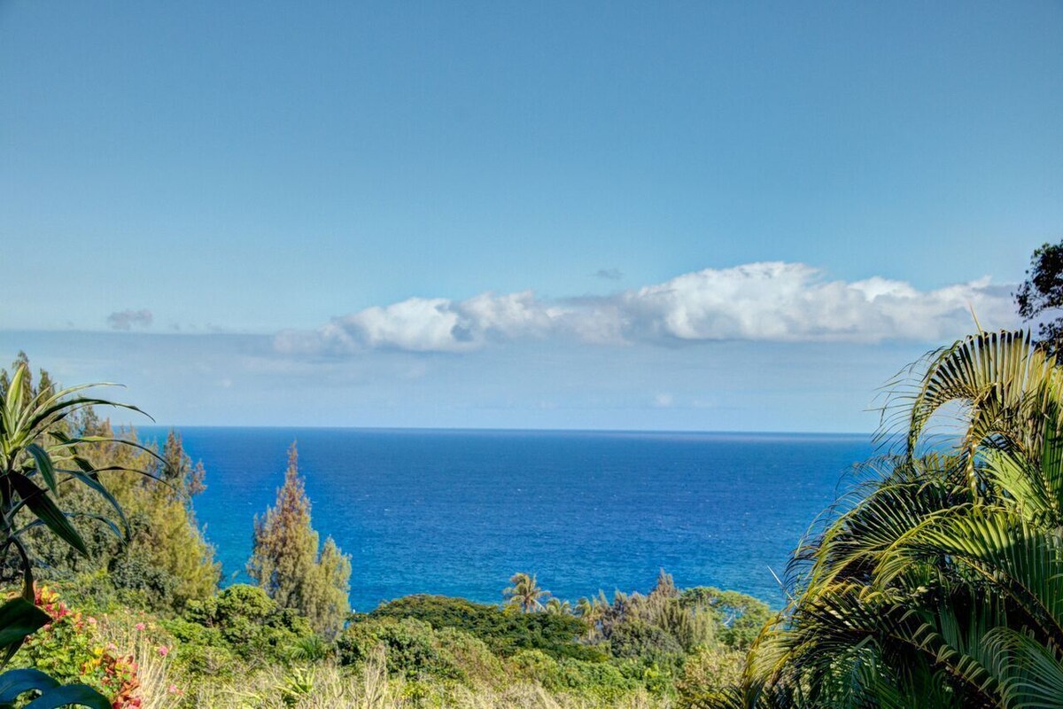Hale Luana: Private Home on 2.5 Acres w/Ocean Views, Hot Tub, & 600 sq ft Lanai