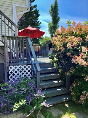 Stairs to back yard lower deck and upper roof top deck