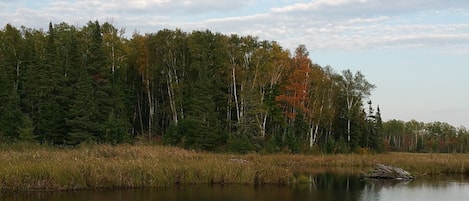 The Beaver Lake