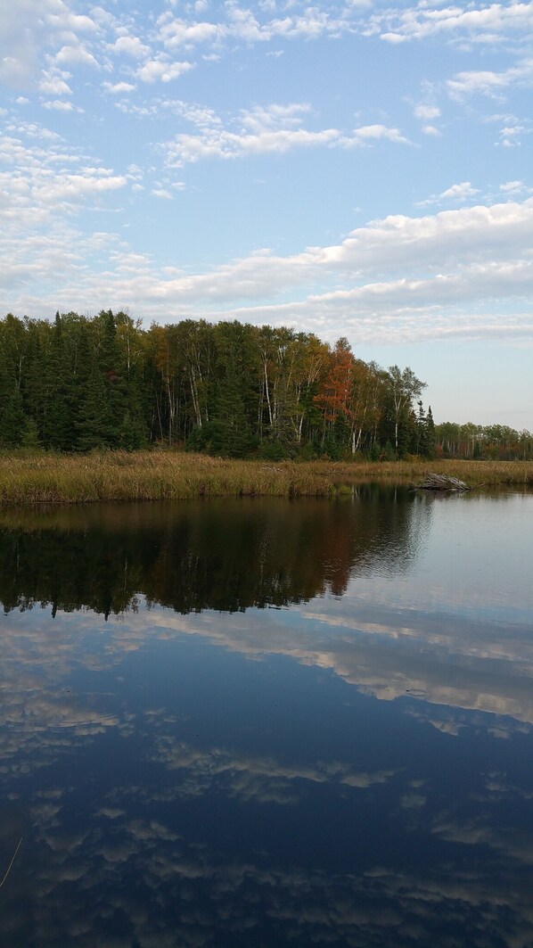 The Beaver Lake