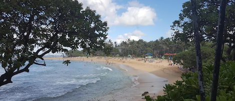 Nearby Turtle Bay Beach & Resort. Within walking distance.