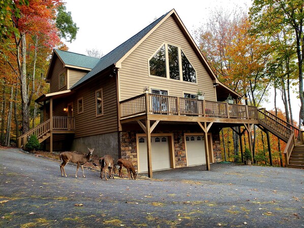 4 Bedroom, 4 Bath, hardwood floors, 2 fireplaces, beautiful mountain view & deer