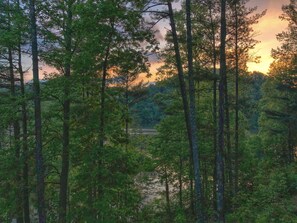 Gorge on our Sunset Views
