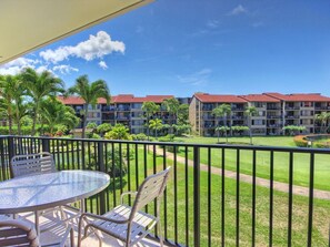 Lanai View