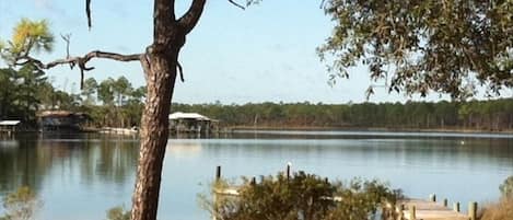 Picturesque view of the creek