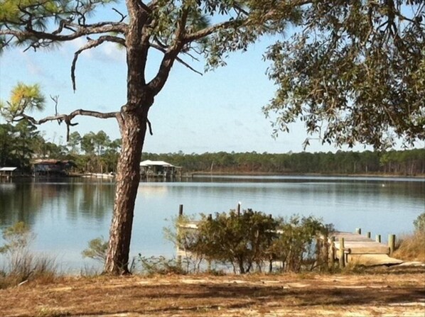 Picturesque view of the creek