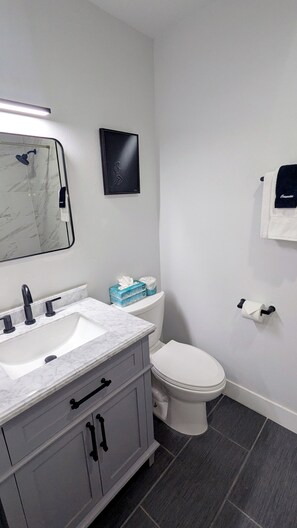 Master bathroom vanity & toilet