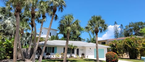 Your own private back yard, pool and house.