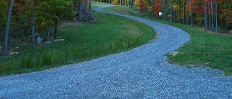 Fall colors on driveway
