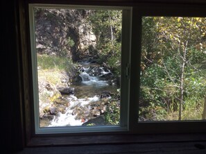 View out master bedroom window