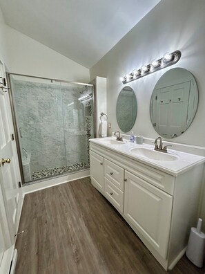 Master bath shower and vanity