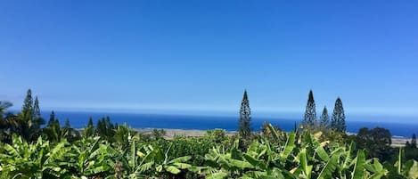 Crystal clear skies in Kona