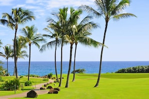 The 'Green Belt' walking path to the Ocean, and to So Many Attractions!