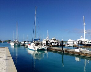 A short bike ride to the incredible Leeward Marina