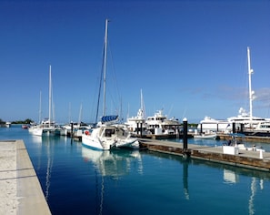 A short bike ride to the incredible Leeward Marina