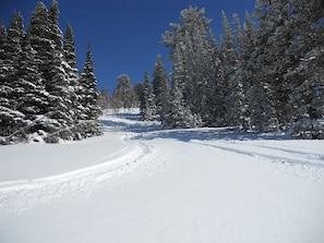 Looking for untouched powder in Cobabe Canyon (2,000 acre portion of Powder Mtn)