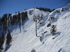 Another 'Bluebird' day on the Paradise lift.